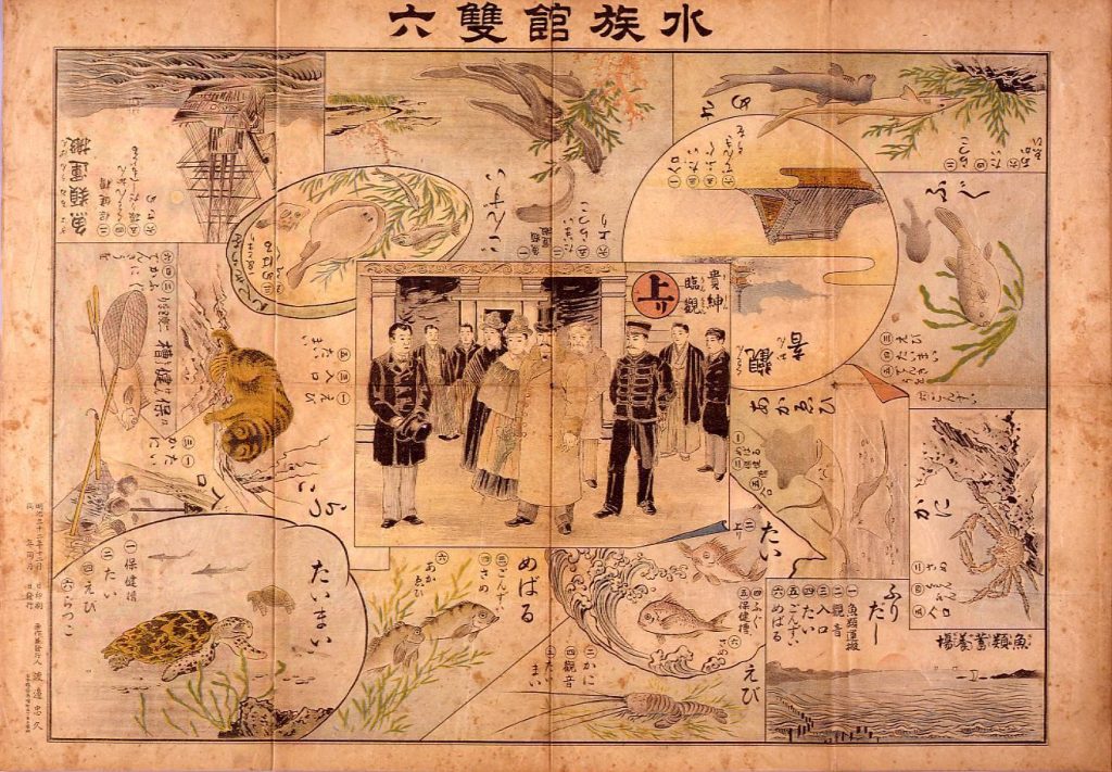 作品画像:水族館双六
