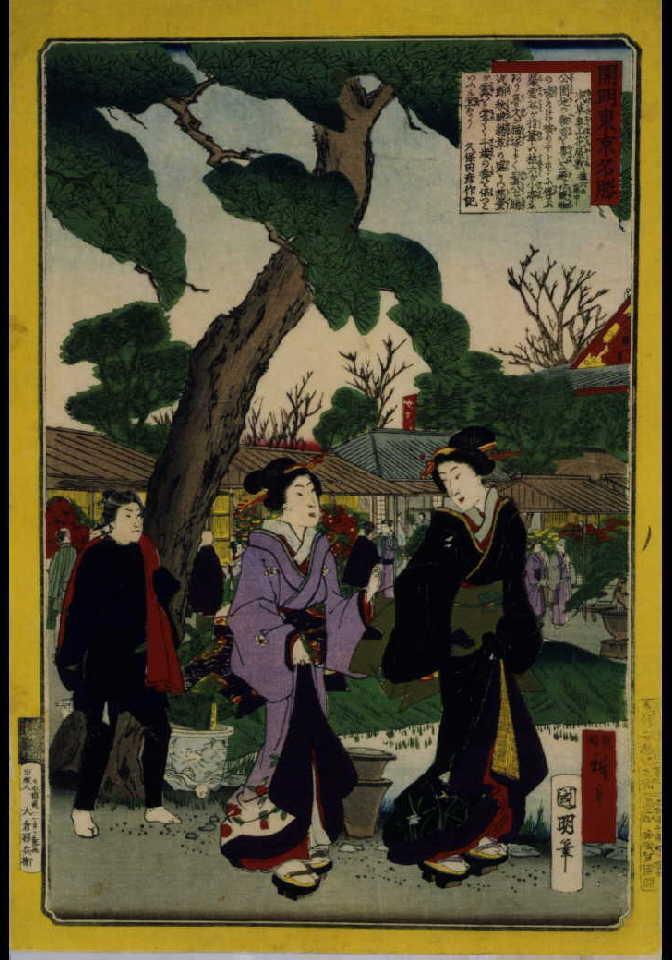 作品画像:開明東京名勝 浅草奥山花屋敷植六の庭中