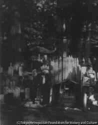 作品画像:#725