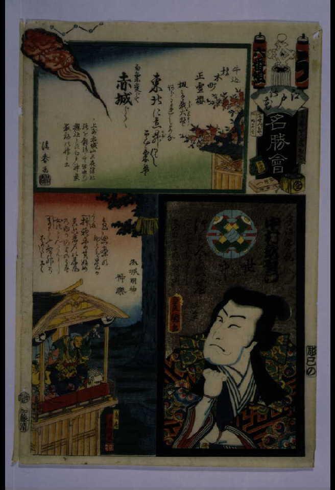 作品画像:江戸の花名勝会 う 六番組