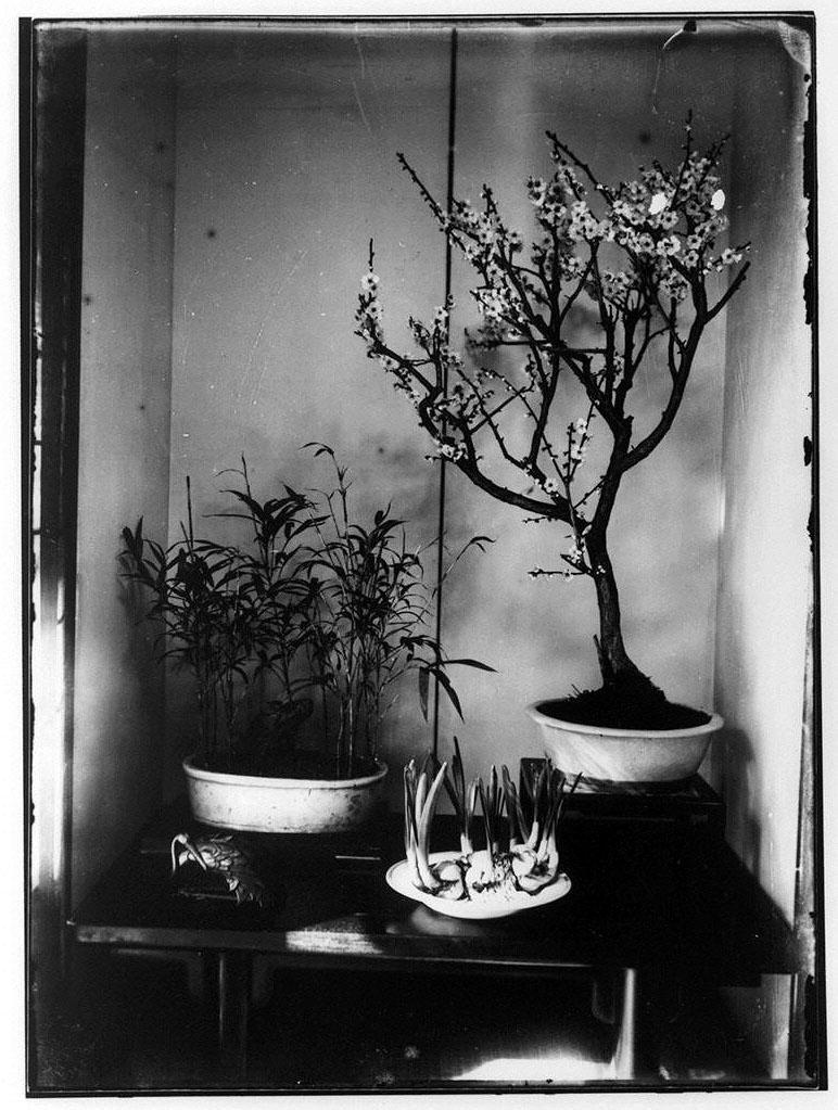 作品画像:植物3種(梅花・笹・球根)