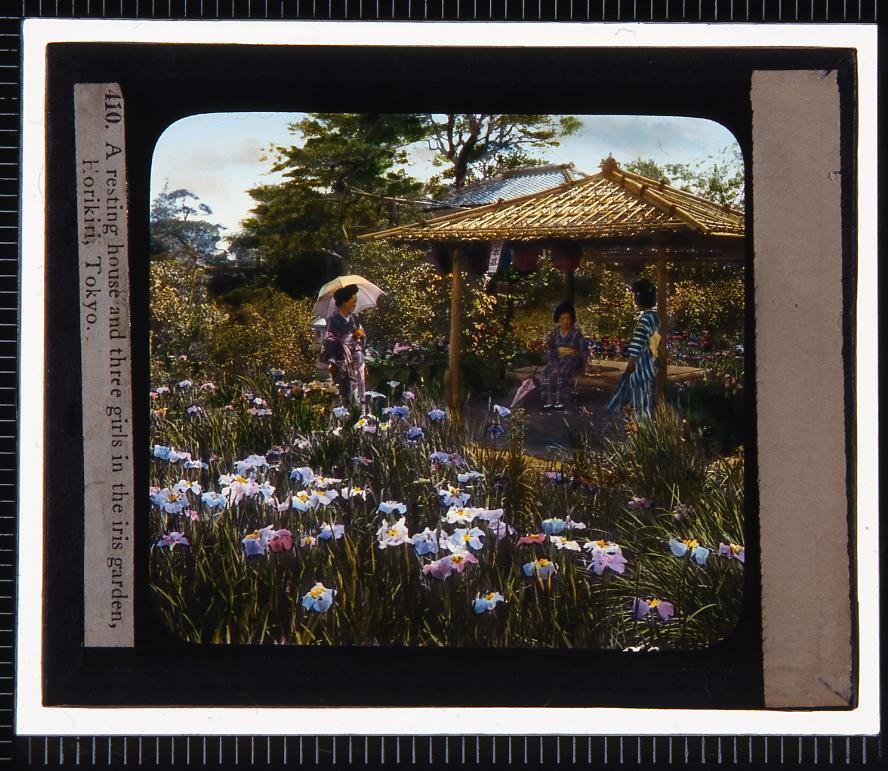 作品画像:東京 堀切菖蒲園(幻燈原板)