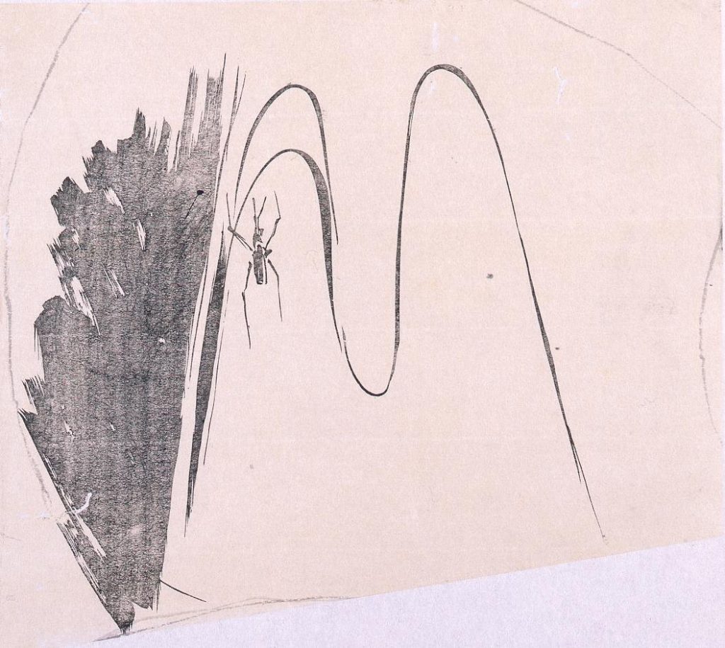 作品画像:墨版 水上のあめんぼ