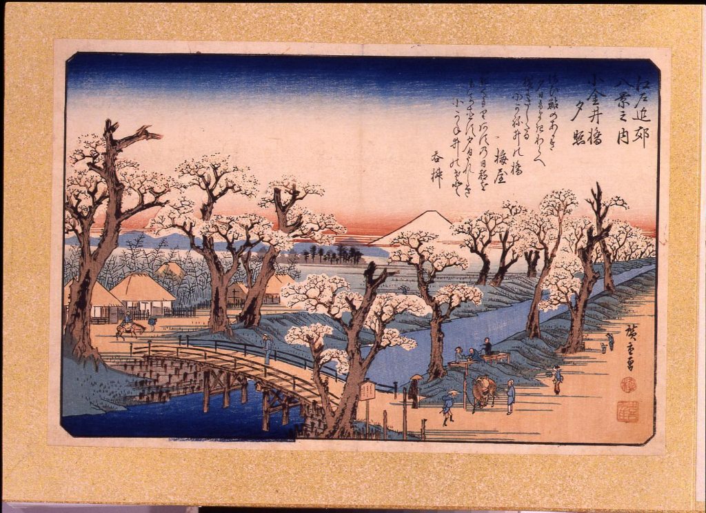 作品画像:江戸近郊八景 小金井橋夕照