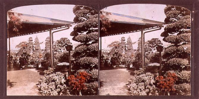 作品画像:庭園の植栽(No.123)