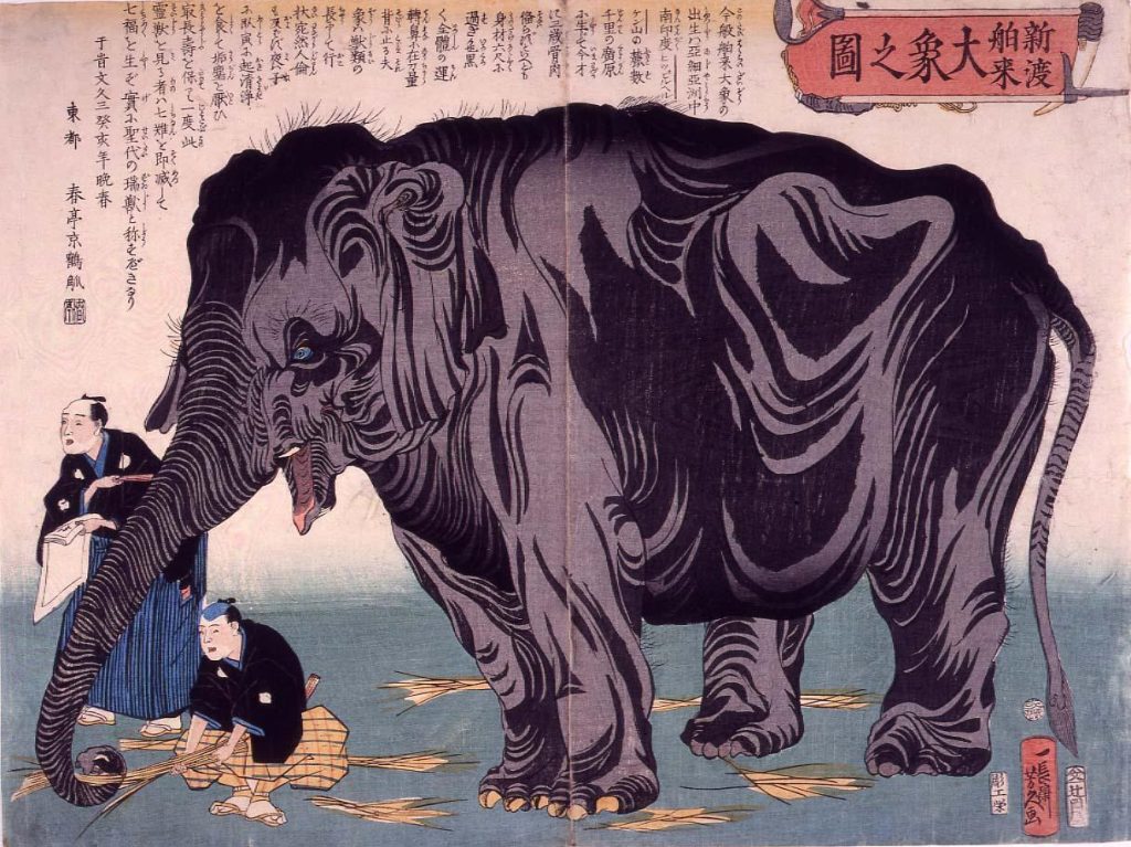 作品画像:新渡舶来大象之図