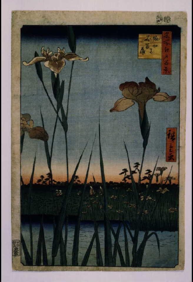 作品画像:名所江戸百景 堀切の花菖蒲