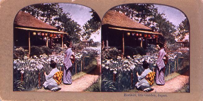 作品画像:Horikiri,Iris Garden,Japan.