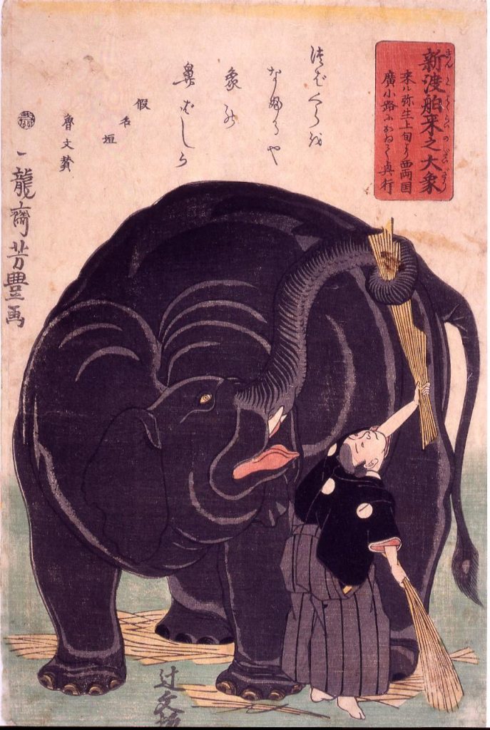 作品画像:新渡舶来之大象