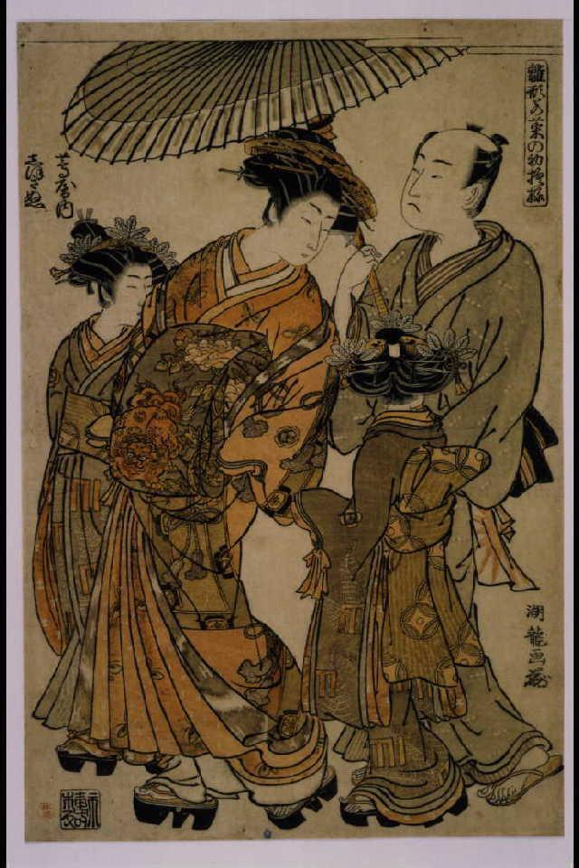 作品画像:雛形若菜の初模様 蔦屋内 しほきぬ