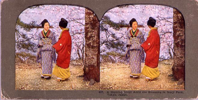 作品画像:A Morning strollAmid the Blossoms in Norji Park,Tokyo,Japan.607