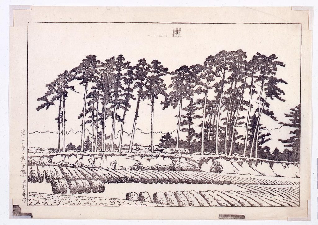 作品画像:東京二十景 池上市之倉 校合摺