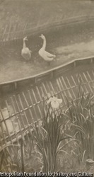 作品画像:雨催ひ