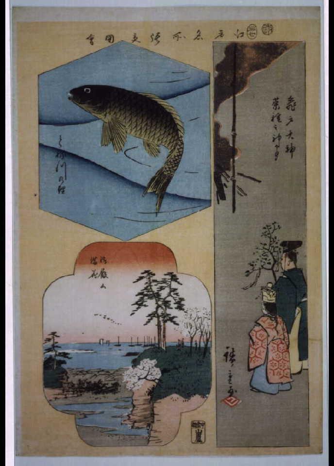 作品画像:江戸名所張交図会 亀戸天神菜種之神事、とね川の鯉、御殿山満花