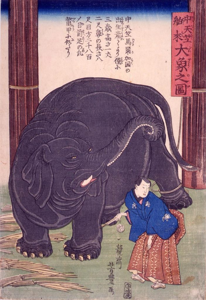 作品画像:中天竺舶来大象之図