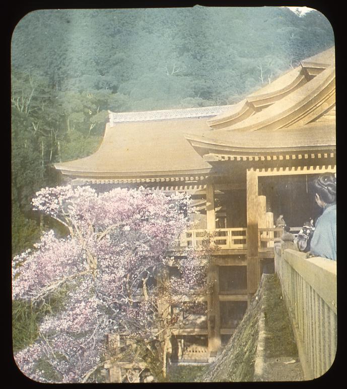 作品画像:桜の清水寺