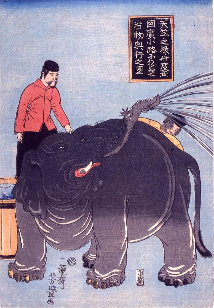 作品画像:天竺之象此度両国広小路におゐて看物興行之図