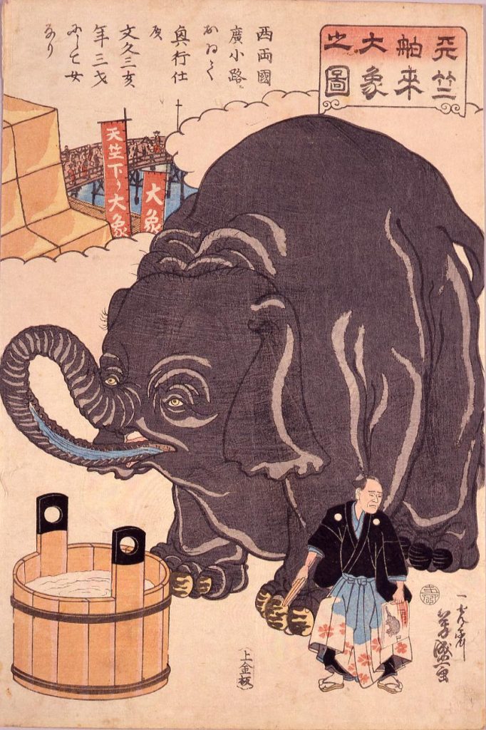 作品画像:天竺舶来大象之図