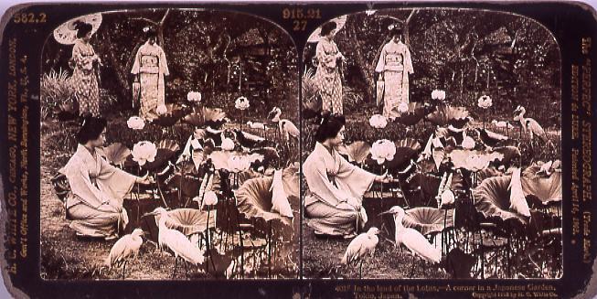 作品画像:In the land of the Lotus,―A corner inA Japanese Garden,Tokio,Japan.4015