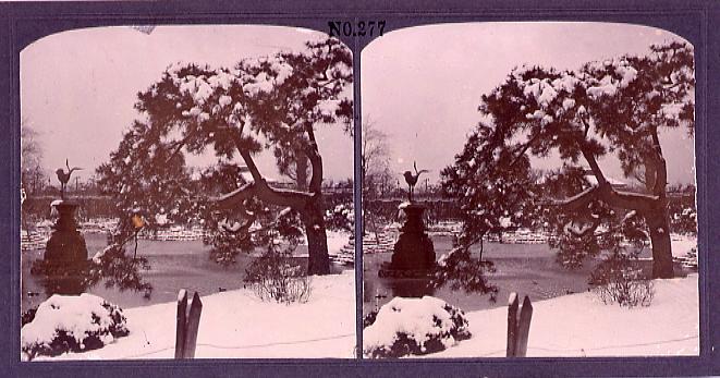 作品画像:日比谷公園池辺の雪景(No.277)