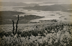 佐世保 1952