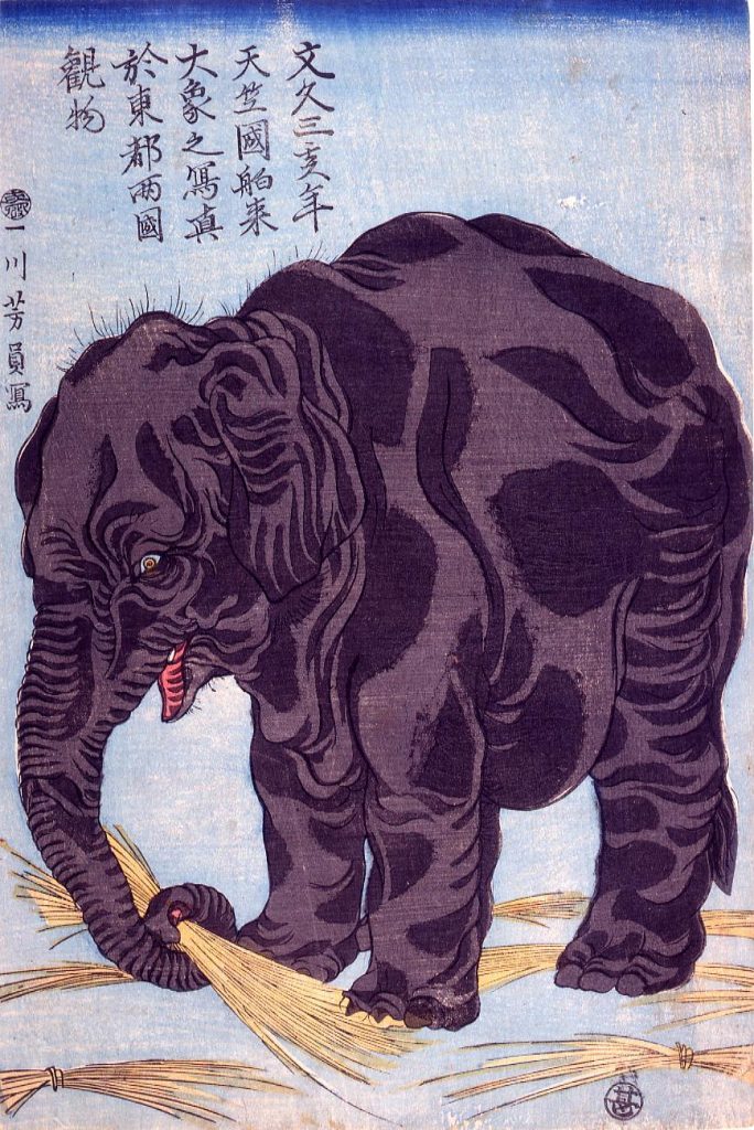 作品画像:文久三亥年天竺国舶来大象之写真於東都両国観物