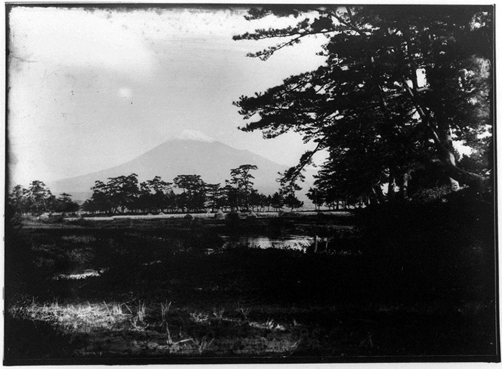 作品画像:富士山遠景