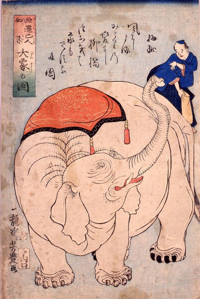 作品画像:欧羅巴人舶来大象の図