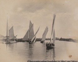 作品画像:(ホーニングの帆走レース、1885年)