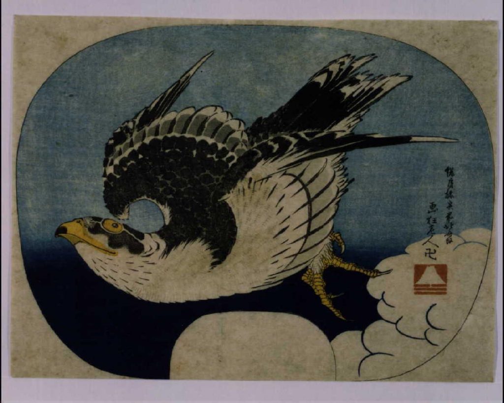 作品画像:鷹