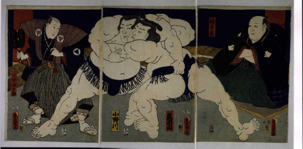 作品画像:鬼面山小野川取組