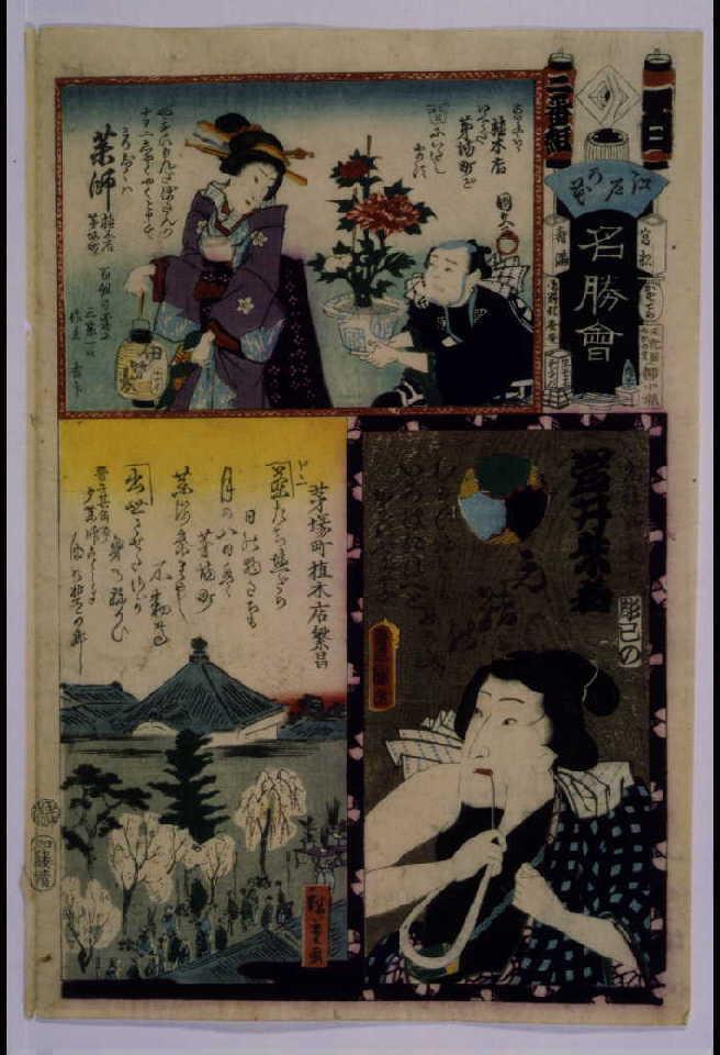 作品画像:江戸の花名勝会 百 二番組