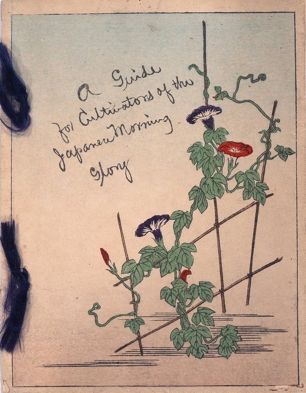 作品画像:日本朝顔栽培の手引き(A Guide for Cultivators of the Japanese Morning Glory)