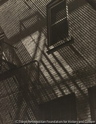作品画像:(壁面の窓)