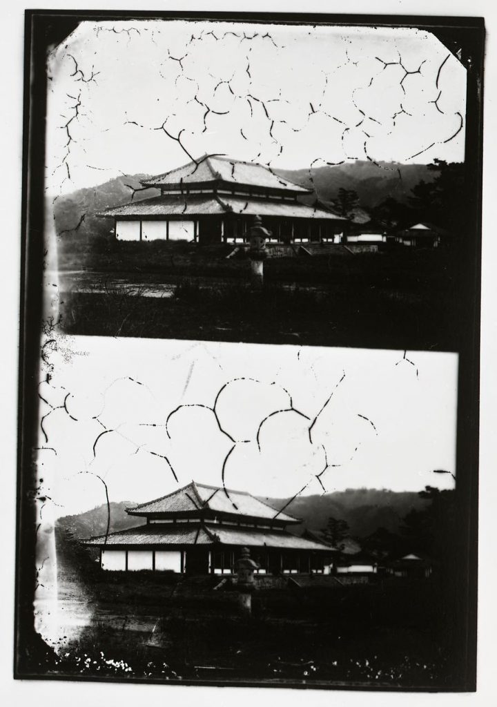 作品画像:興福寺 金堂