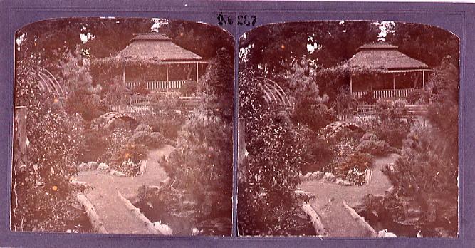 作品画像:サンフランシスコ日本庭園(No.287)