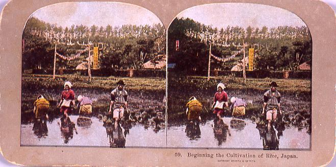 作品画像:Beginning the Cultivation of Rice,Japan.59