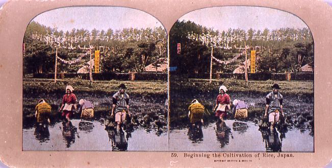 作品画像:Beginning the Cultivation of Rice,Japan.59