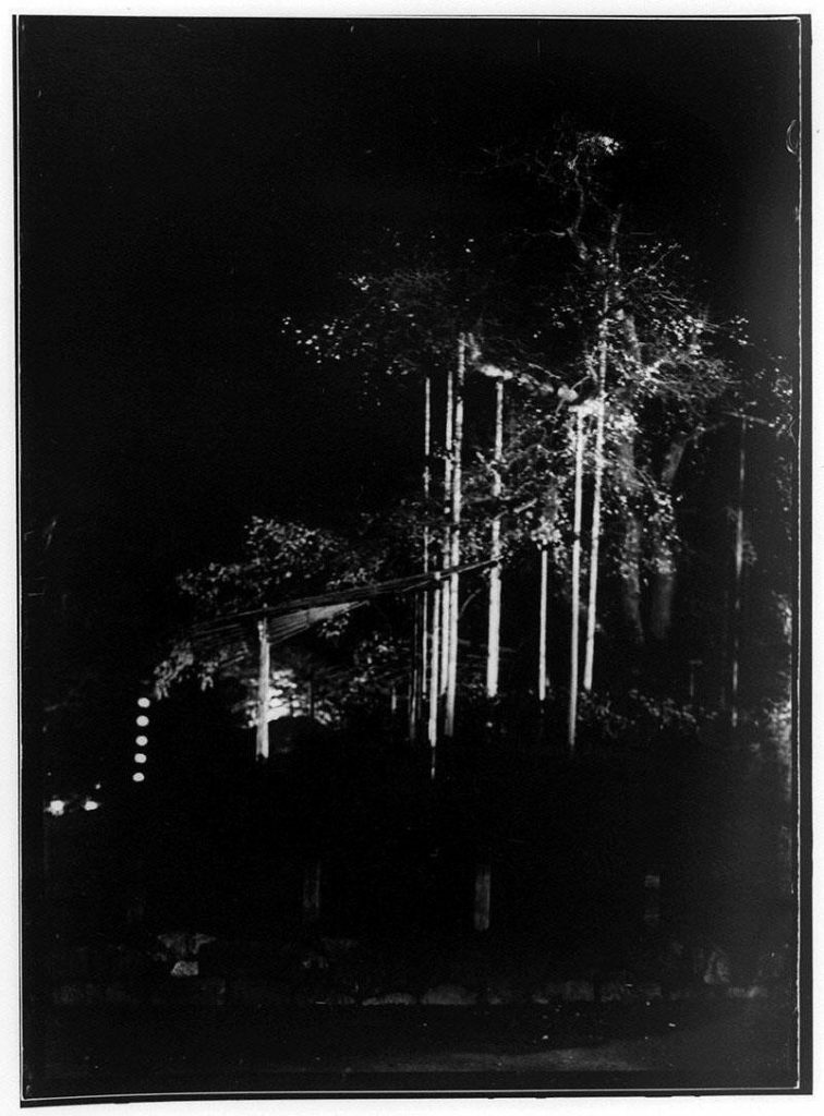 作品画像:円山公園しだれ桜夜景