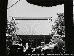 作品画像:浅草寺本堂