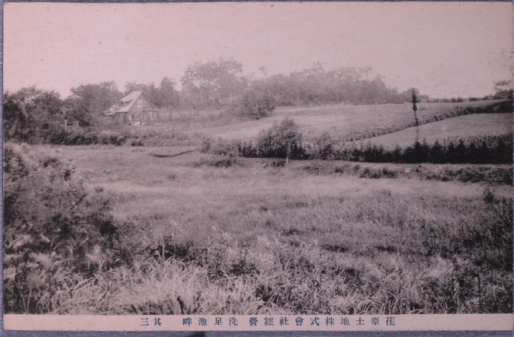 作品画像:荏原土地株式会社経営,洗足池畔 其三