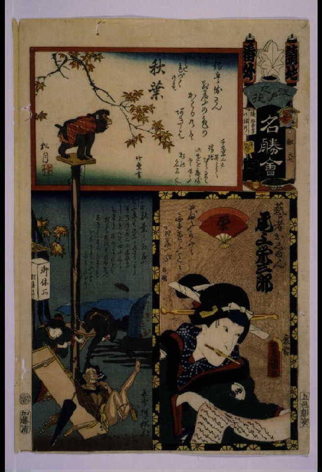 作品画像:江戸の花名勝会 請地 番外