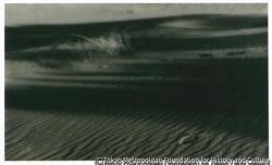 作品画像:(砂丘)