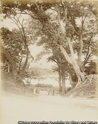 作品画像:上野