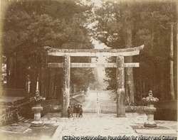 作品画像:日光