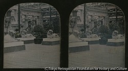 作品画像:クリスタル・パレス