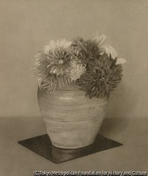 作品画像:静物