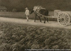 作品画像:馬車