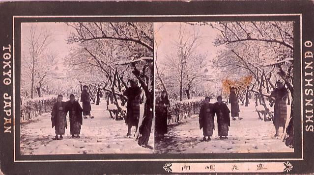 作品画像:向島花盛(雪景)