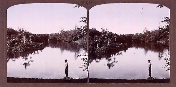 作品画像:暹羅国公園(No.163)